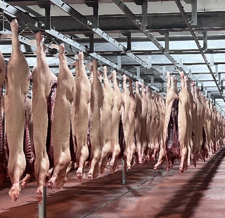 New Carcass Chiller Project