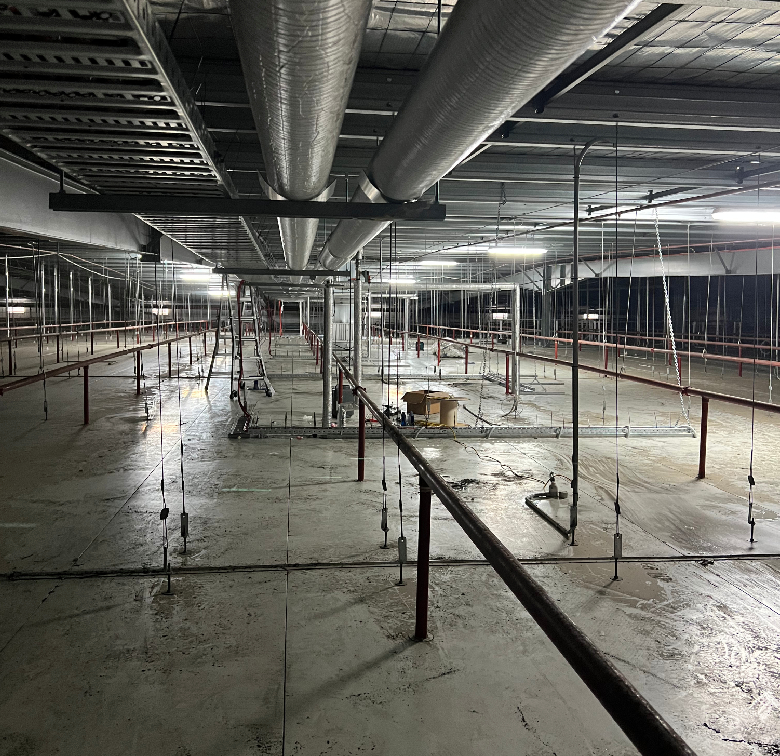 Piping Design & Installation